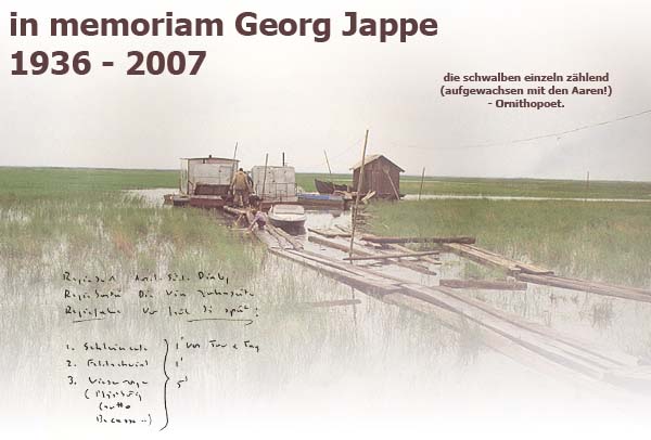 Quelle: Collage/Foto von Lili Fischer / Georg Jappe aus "&Auml;stuarien & Limikolen"