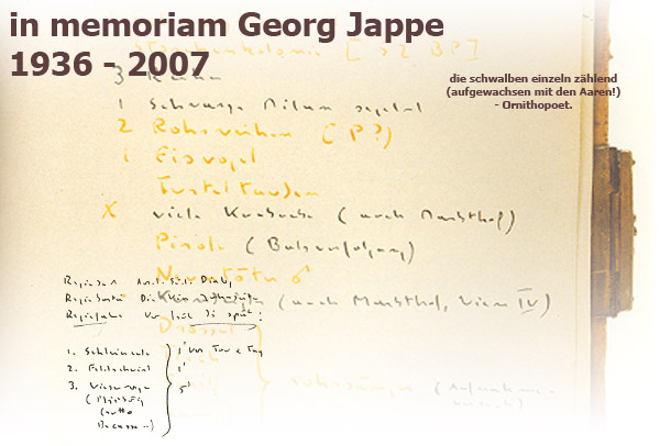 Quelle: Collage/Foto von Lili Fischer / Georg Jappe aus "&Auml;stuarien & Limikolen"