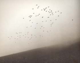 Quelle: Foto von Lili Fischer / Georg Jappe aus "Polare Gestade"