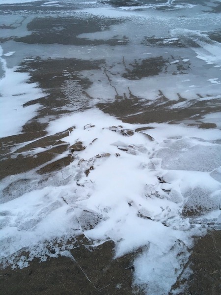 Lied als Technologie