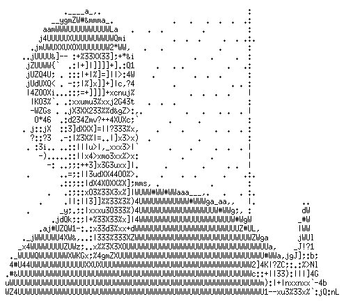 Bild: Florian Kramer